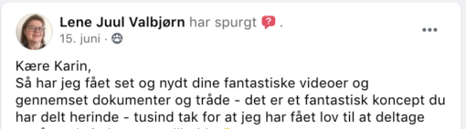 Udtalelse fra Lene om workshoppen